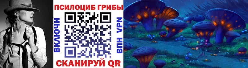 Галлюциногенные грибы Psilocybine cubensis  магазин продажи   Лесосибирск 